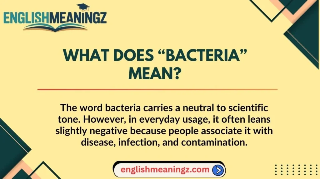 What Does “Bacteria” Mean?