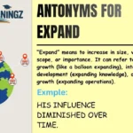Antonyms for Expand