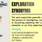 Exploration Synonyms