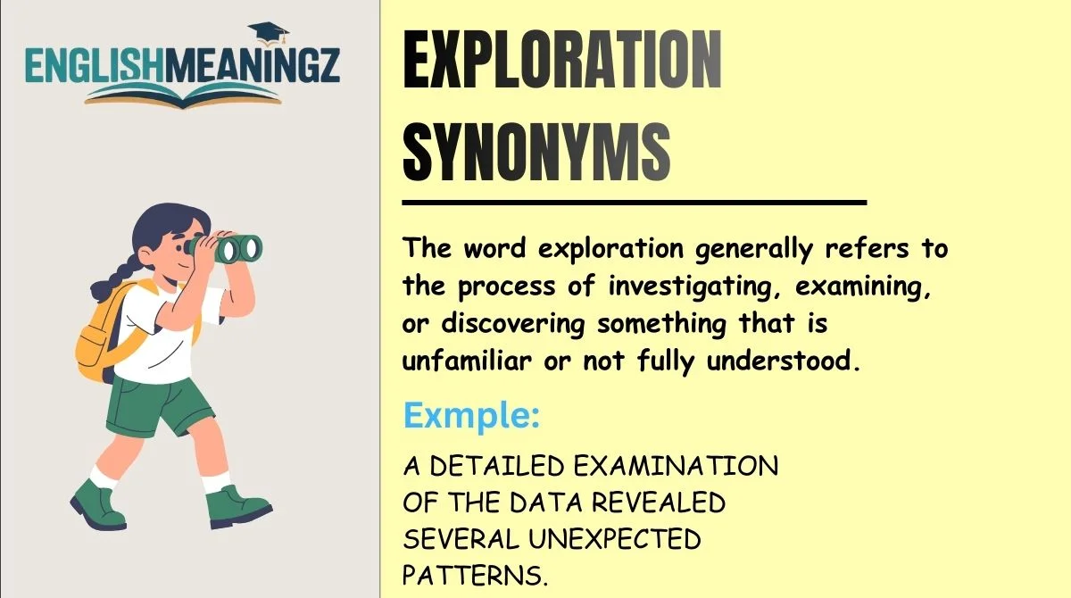 Exploration Synonyms