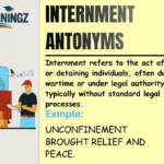 Internment Antonyms