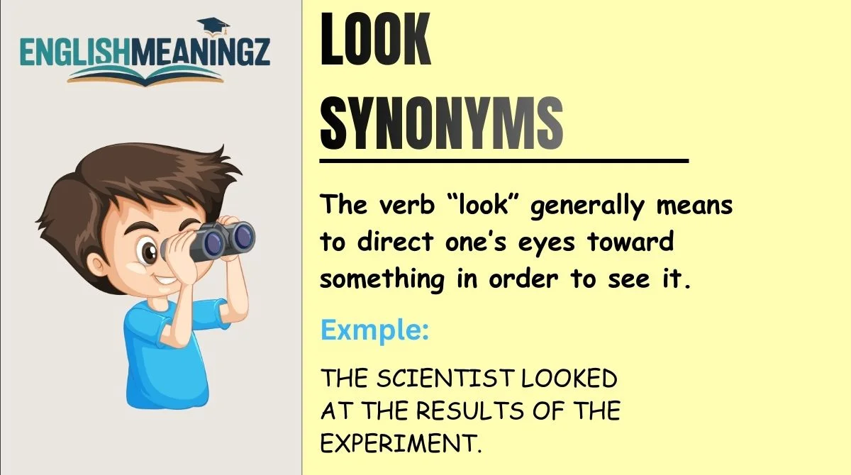 Look Synonyms