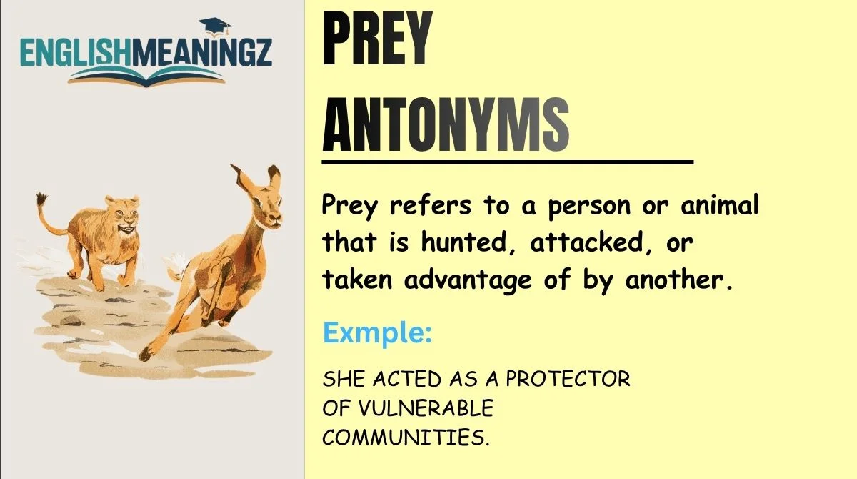 Prey Antonyms
