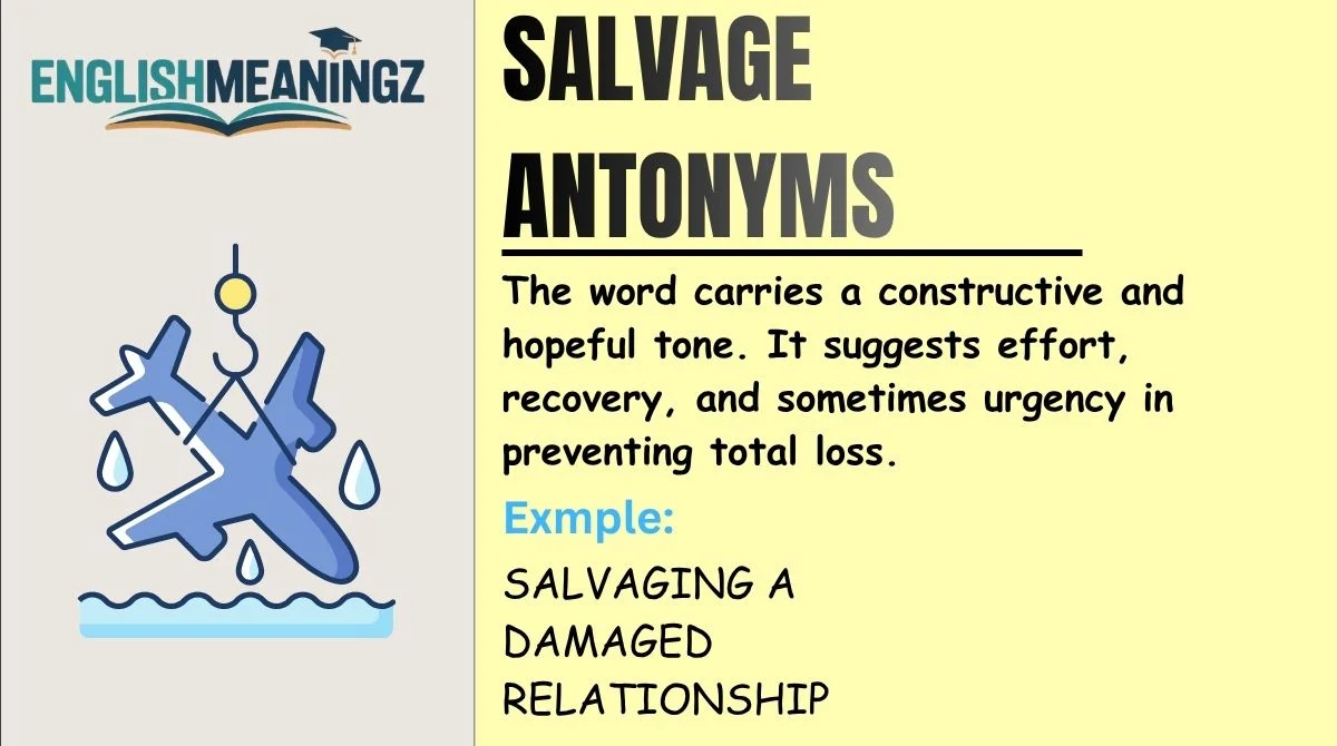 Salvage Antonyms