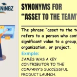 Synonyms for “Asset to the Team”