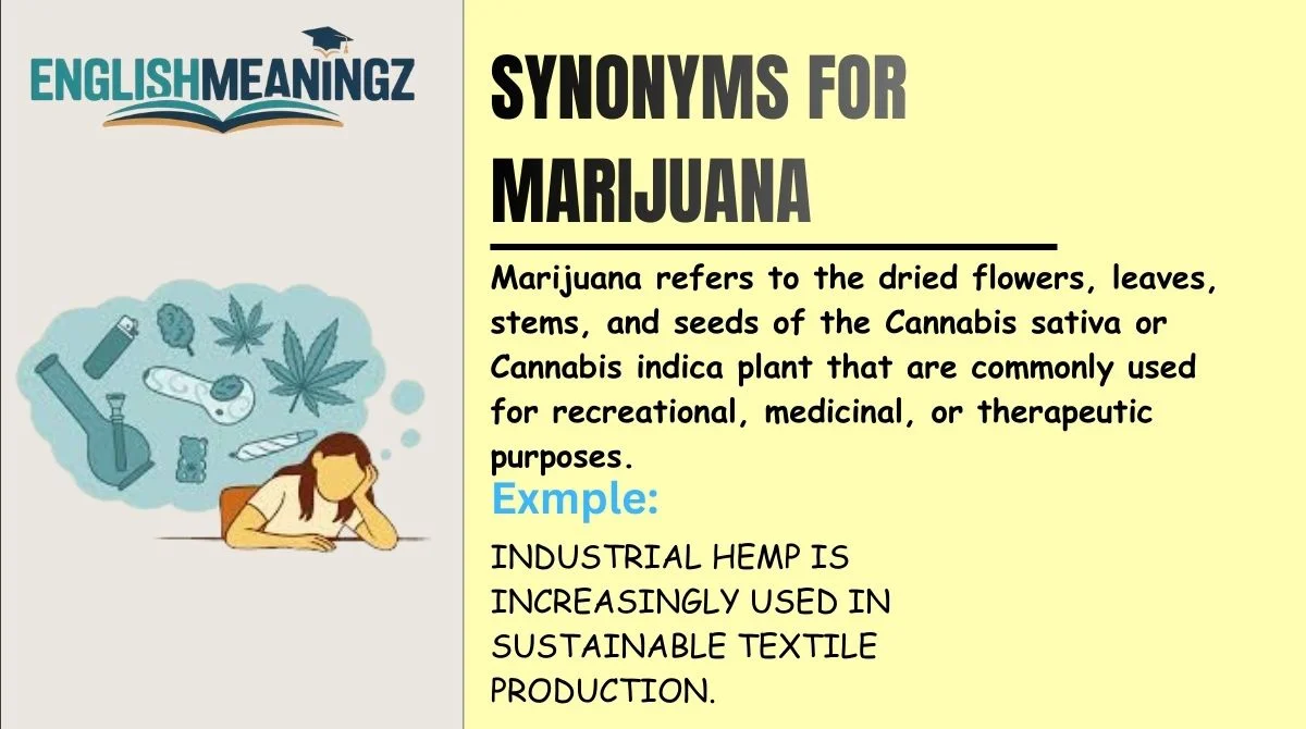 Synonyms for Marijuana