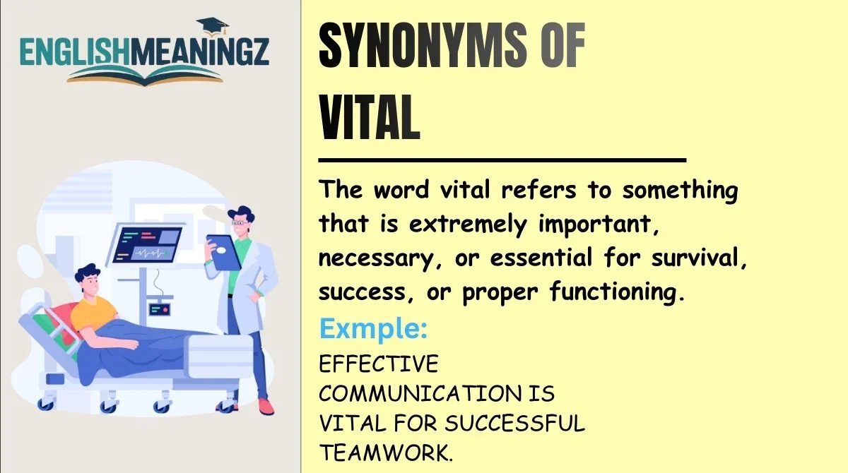 Synonyms of Vital