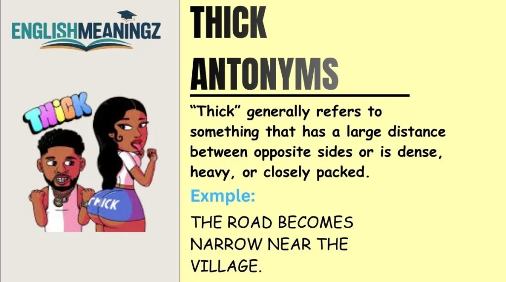 Thick Antonyms