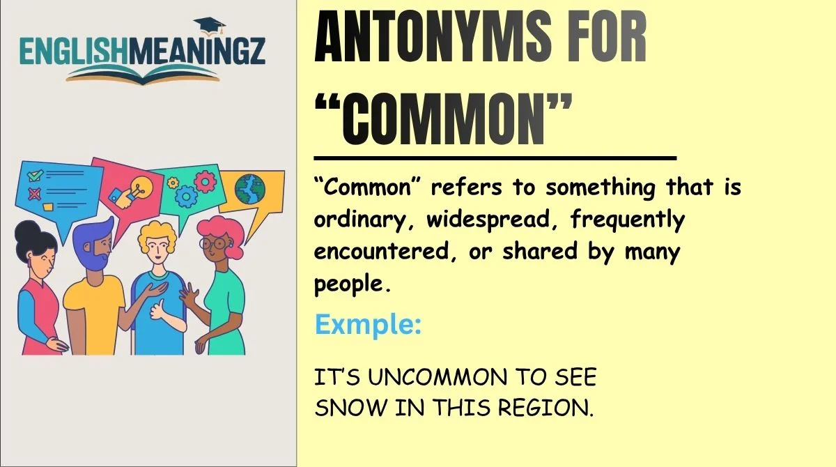 Antonyms for “Common”