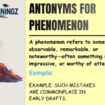 Antonyms for Phenomenon