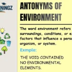 Antonyms of Environment