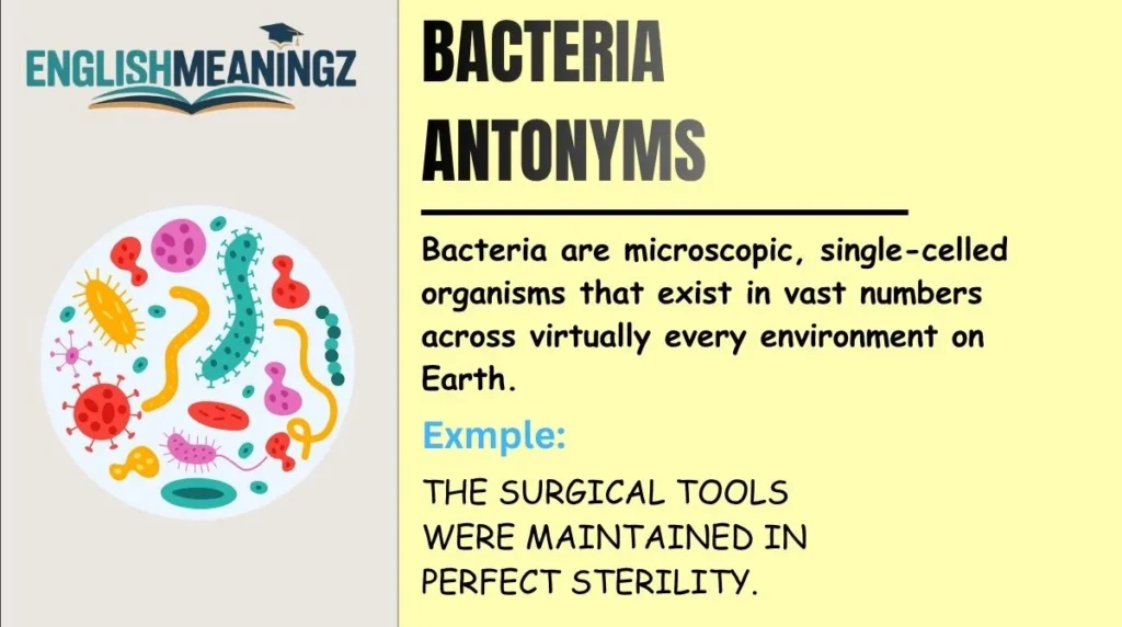 Bacteria Antonyms
