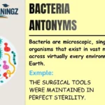 Bacteria Antonyms