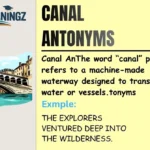 Canal Antonyms