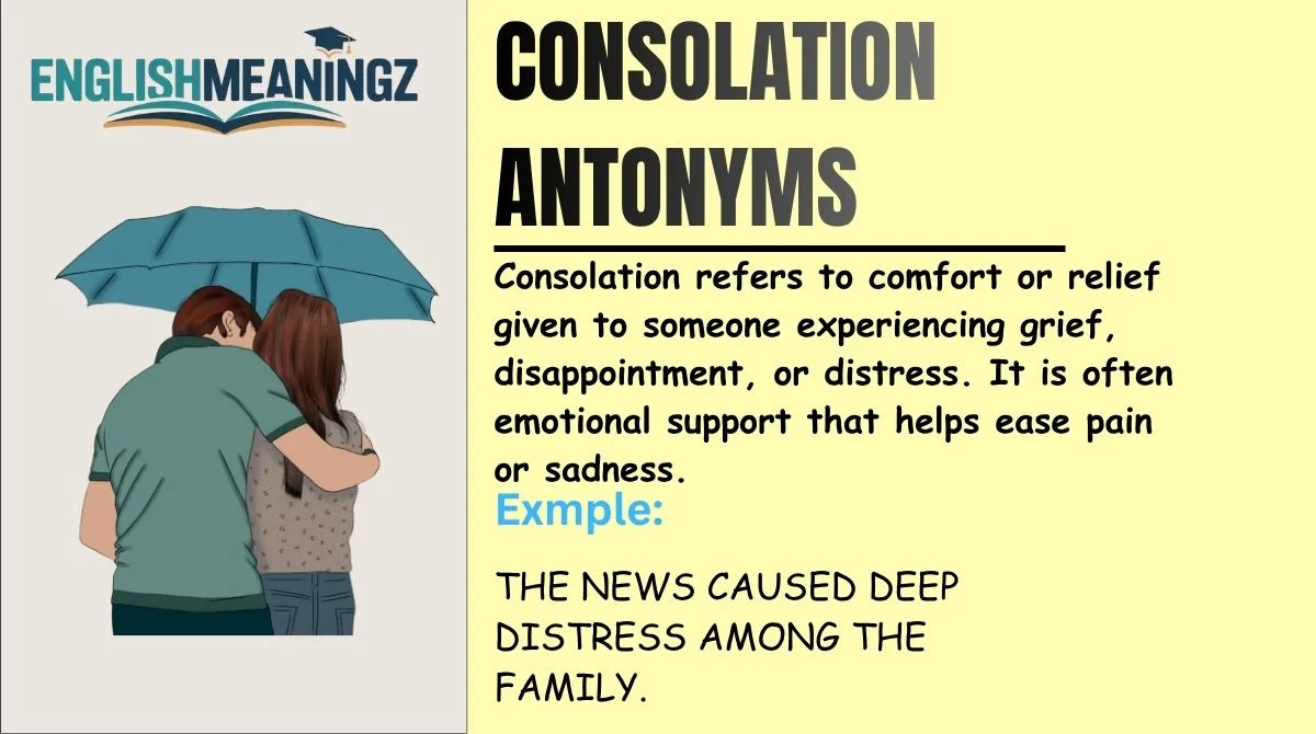 Consolation Antonyms