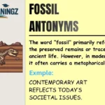 Fossil Antonyms