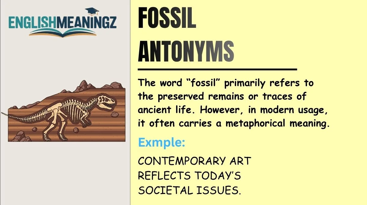 Fossil Antonyms