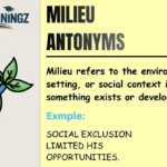 Milieu Antonyms