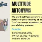 Multitude Antonyms