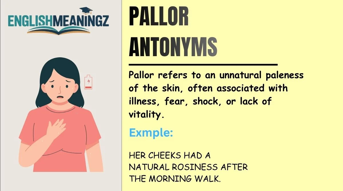 Pallor Antonyms