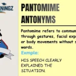 Pantomime Antonyms