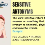 Sensitive Antonyms
