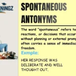 Spontaneous Antonyms
