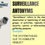 Surveillance Antonyms