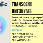 Transcend Antonyms