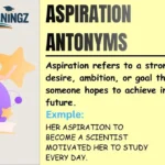 Aspiration Antonyms