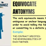 Equivocate Antonyms