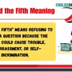 Plead the Fifth Meaning