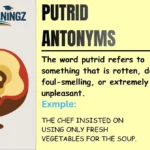 Putrid Antonyms