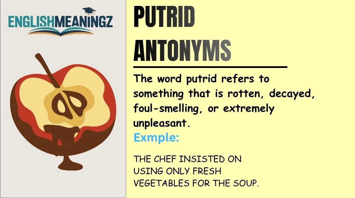 Putrid Antonyms