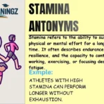Stamina Antonyms
