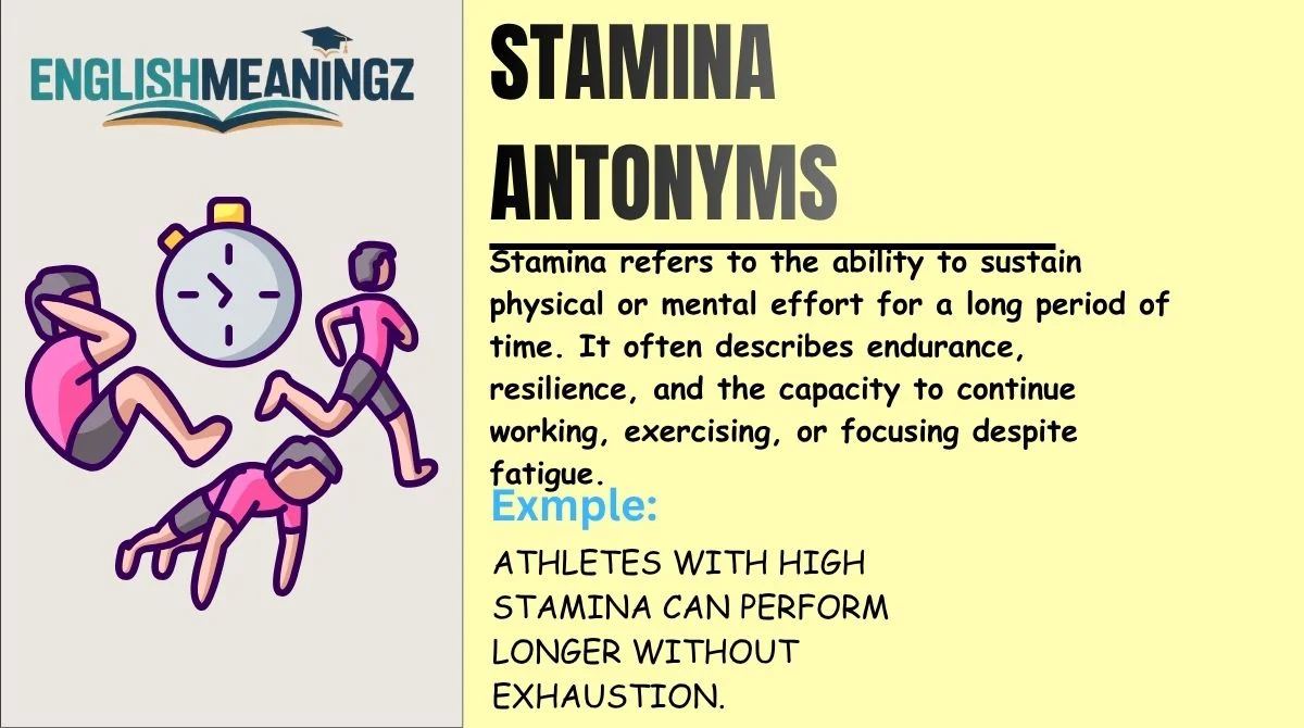 Stamina Antonyms