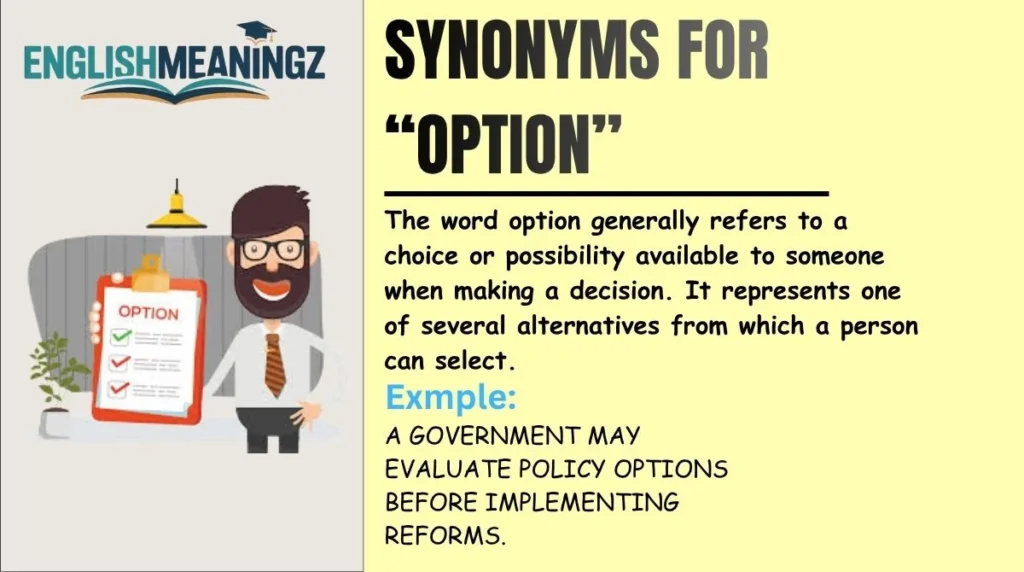 Synonyms for “Option”