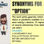 Synonyms for “Option”