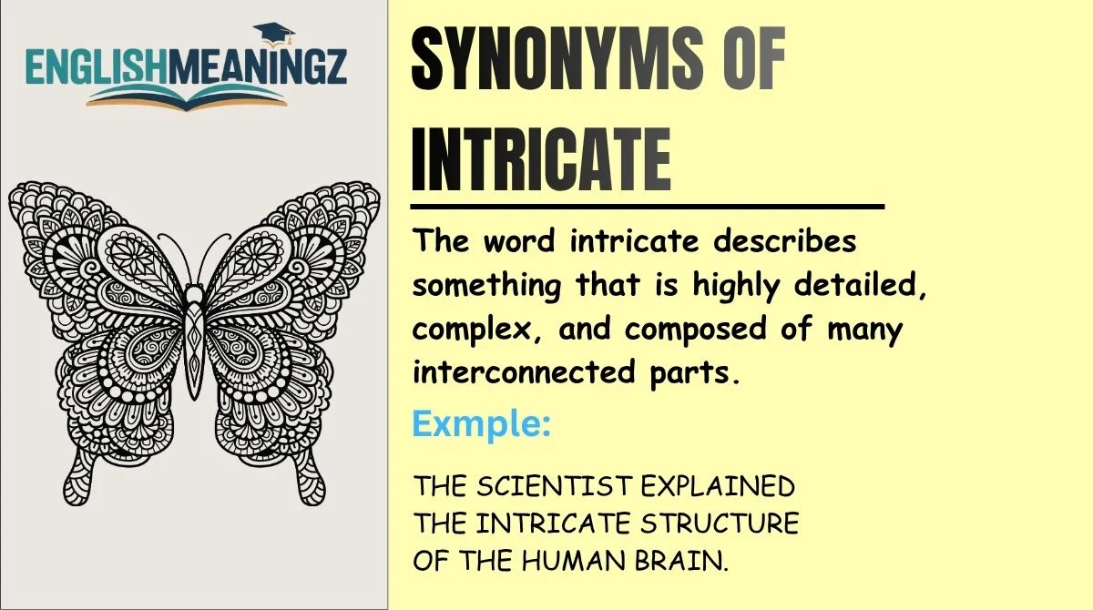 Synonyms of Intricate