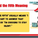 I Plead the Fifth Meaning