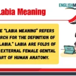 Labia Meaning