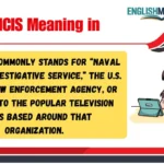 NCIS Meaning in