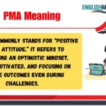 PMA Meaning