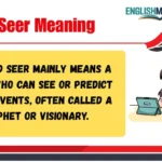 Seer Meaning