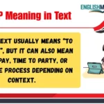 TTP Meaning in Text